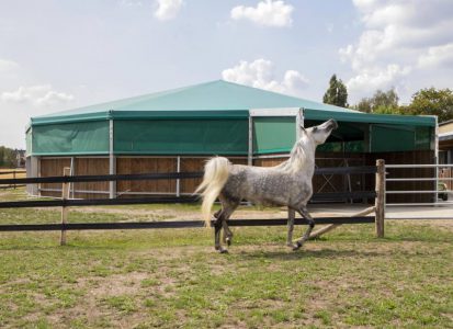 round pen